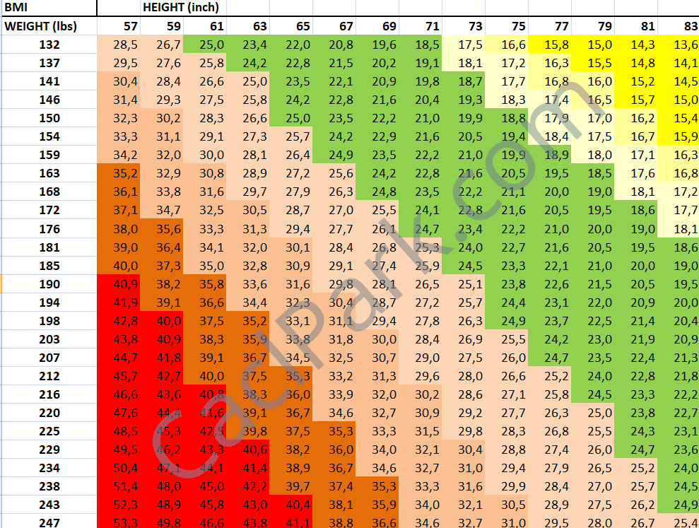 bmi table in inch and lbs / pounds