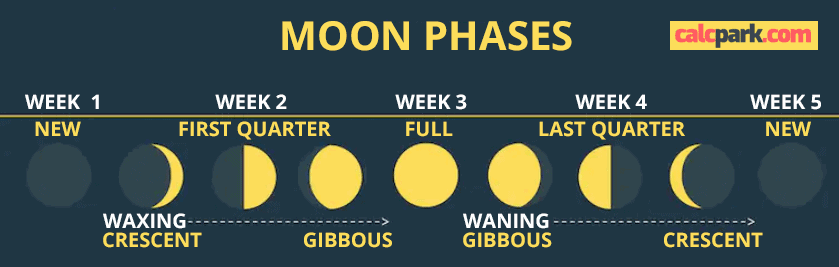 Moon Calendar - Moon Phases Chart